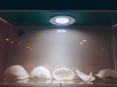 Çiğ kırlangıç kuşu yuvası. Birinci sınıf. Bir çeşit Çin yemeği.