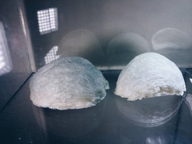 Çiğ kırlangıç kuşu yuvası. Birinci sınıf. Bir çeşit Çin yemeği.