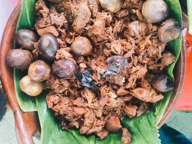 Yeşil yapraklı ve fındıklı kakao, yakın görüş.