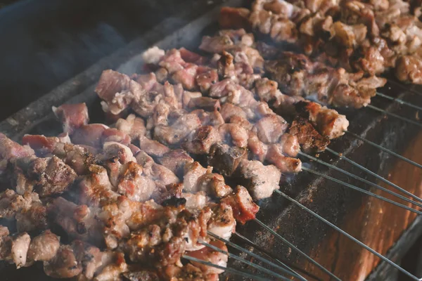 Smoked Barbecue Meat Skewers Grilling Brazier — 스톡 사진