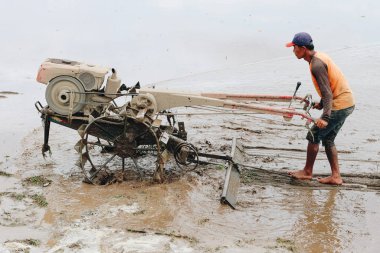 Sulu pirinç tarlasında çalışan çiftçi.