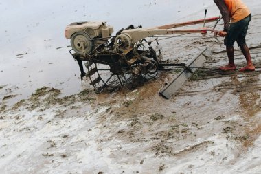 Sulu pirinç tarlasında çalışan çiftçi.