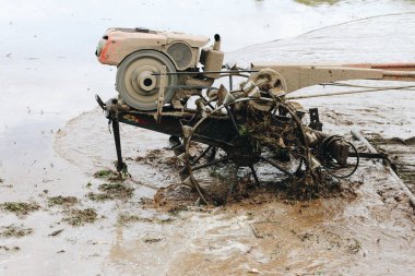 Çiftçi adam toprakta çalışıyor.
