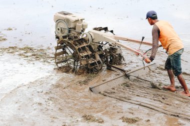 Çiftçi adam toprakta çalışıyor.