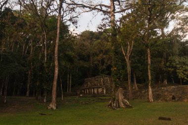 Parktaki antik tapınak