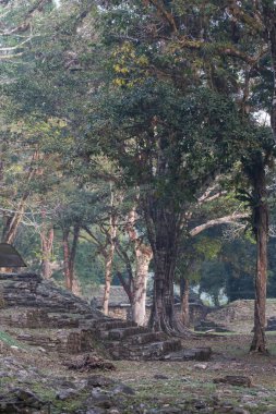 Parktaki antik merdivenler