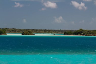 Palmiye ağaçları ve mavi gökyüzü olan güzel tropikal plaj