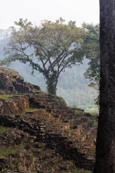 Ruins Ancient Stairs Forest — Stock Photo, Image