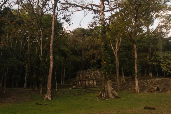 Templo Antigo Parque — Fotografia de Stock