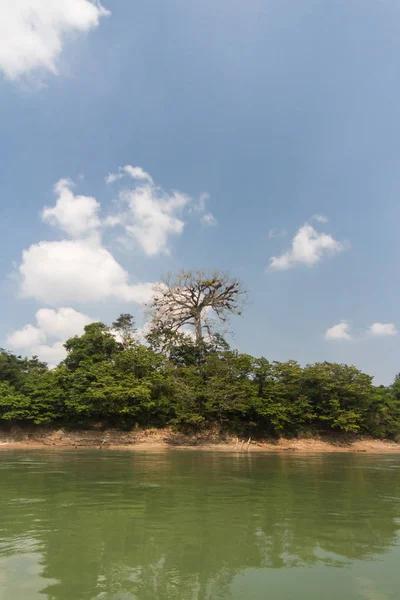 Bella Vista Sul Fiume Nel Parco — Foto Stock