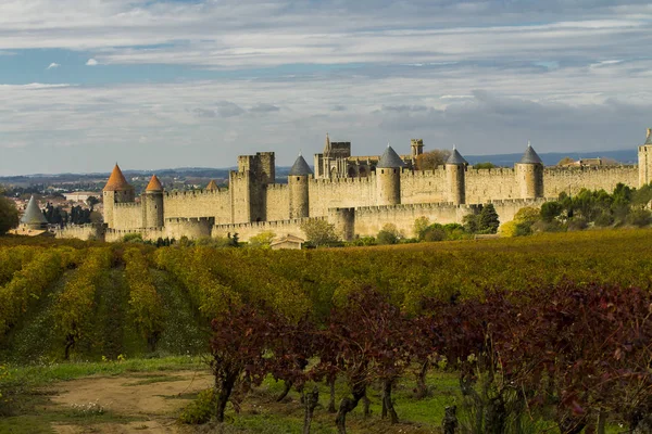 Vue Sur Château Vignoble — Photo