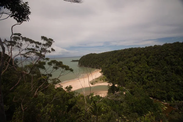 Vista Sobre Bela Paisagem Com Praia Floresta — Fotografia de Stock