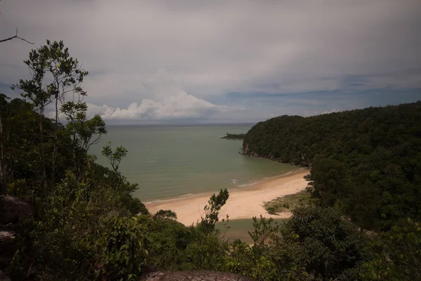 Vue Sur Beau Paysage Avec Plage Forêt — Photo