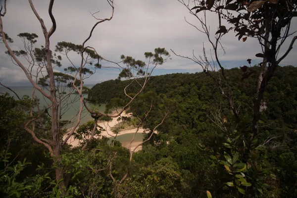 Vue Sur Beau Paysage Avec Plage Forêt — Photo