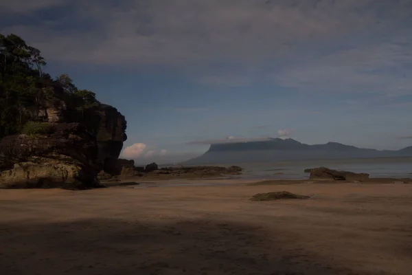 Vue Sur Beau Paysage Avec Plage Forêt — Photo