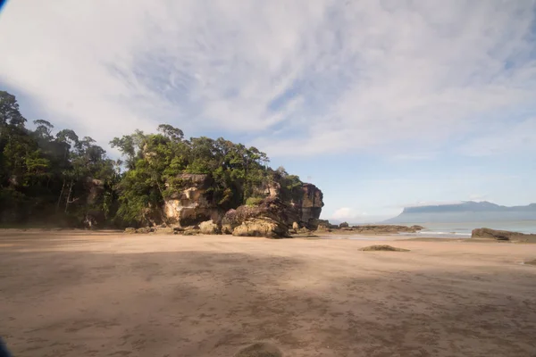 Vue Sur Beau Paysage Avec Plage Forêt — Photo