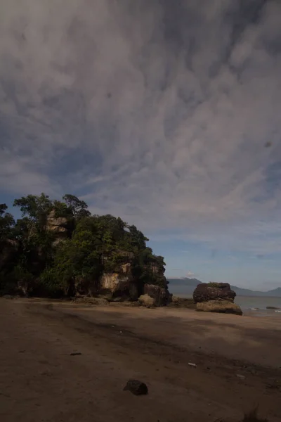 Vue Sur Beau Paysage Avec Plage Forêt — Photo