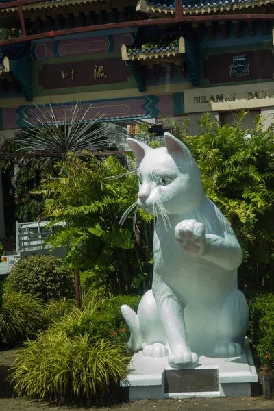 Cat Monument Middle Kuching City — Stock Photo, Image