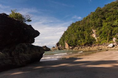 Borneo 'da hortumlu maymun