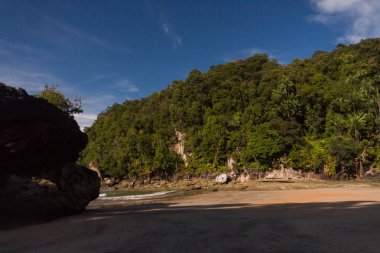 Borneo 'da hortumlu maymun