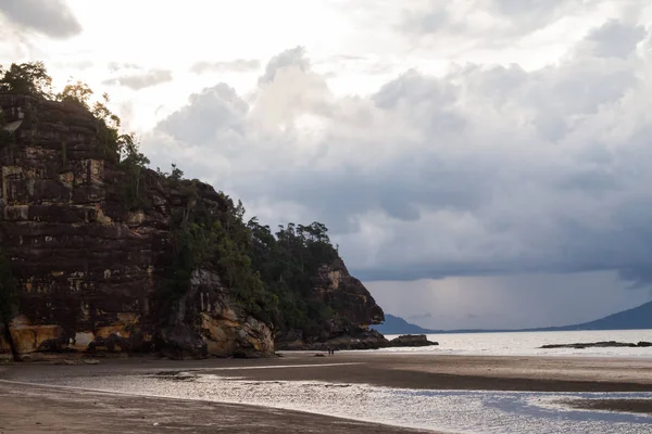 Mono Probóscis Borneo — Foto de Stock