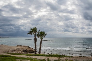 Yılın tek zamanı bahar, sıcak güneşe açık olan Kıbrıs kıyılarının gökkuşağının tüm renkleriyle açtığı tek zamandır. Yazın, yeryüzündeki bu cennet tüm cazibesini yitirecek..      