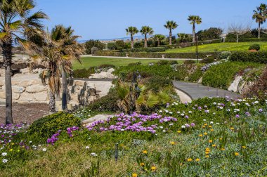 Yılın tek zamanı bahar, sıcak güneşe açık olan Kıbrıs kıyılarının gökkuşağının tüm renkleriyle açtığı tek zamandır. Yazın, yeryüzündeki bu cennet tüm cazibesini yitirecek..      