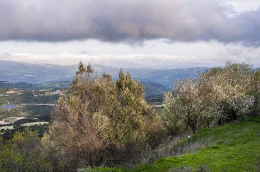 Kıbrıs 'ta yılın baharı, Troodos dağlarında yeşil vadilere, çiçek açan ağaçlara ve kır çiçeklerine hayran olunabilecek tek zamandır..     
