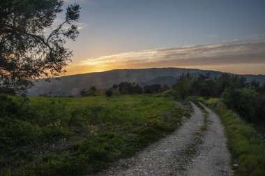 Kıbrıs 'ta yılın baharı, Troodos dağlarında yeşil vadilere, çiçek açan ağaçlara ve kır çiçeklerine hayran olunabilecek tek zamandır..     