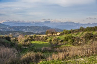 Kıbrıs 'ta yılın baharı, Troodos dağlarında yeşil vadilere, çiçek açan ağaçlara ve kır çiçeklerine hayran olunabilecek tek zamandır..     