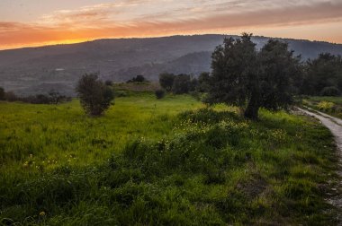 Kıbrıs 'ta yılın baharı, Troodos dağlarında yeşil vadilere, çiçek açan ağaçlara ve kır çiçeklerine hayran olunabilecek tek zamandır..     