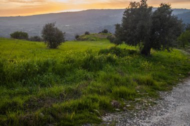Kıbrıs 'ta yılın baharı, Troodos dağlarında yeşil vadilere, çiçek açan ağaçlara ve kır çiçeklerine hayran olunabilecek tek zamandır..     