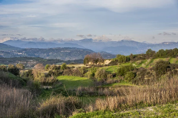 Primavera Chipre Única Época Ano Que Nas Montanhas Troodos Você — Fotografia de Stock