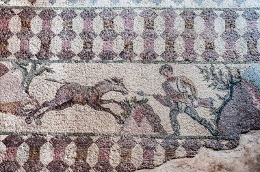  Roma sanatı geleneğine göre 2. yüzyılda yapılmış Dionysus Evi denen zengin bir villanın zemininde çok renkli mozaikler var..    