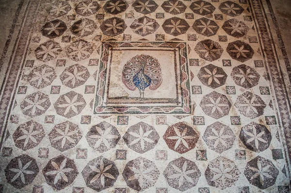 Mosaici Multicolori Piani Una Ricca Villa Chiamata Casa Dioniso Realizzati — Foto Stock