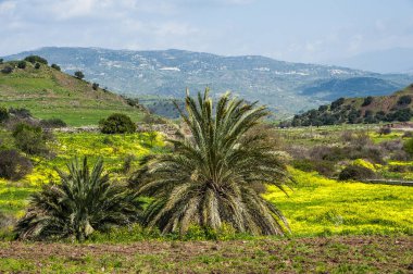 Troodos Dağları 'ndaki Bahar Vadisi' ni görmek unutulmaz bir keyif. Çayırların ve dağ yamaçlarının parlak yeşili, sayısız çiçek ve akan nehirlerdeki su damlaları doğa severleri cezbeder..         