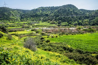 Troodos Dağları 'ndaki Bahar Vadisi' ni görmek unutulmaz bir keyif. Çayırların ve dağ yamaçlarının parlak yeşili, sayısız çiçek ve akan nehirlerdeki su damlaları doğa severleri cezbeder..         