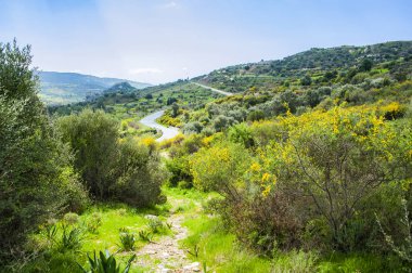 Zengin şaraphaneleri kıyıya bağlayan yol kayaların arasındaki dar bir boşluktan geçiyor. Efsaneye göre, soyguncular burada tüccarları beklemiş ve onları soymuşlar..        