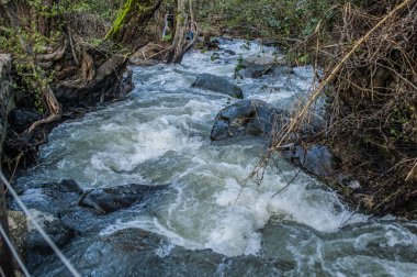 Kakopetria dağ köyünden akan Karkotis Nehri, yazın asla kurumaz, fakat ilkbaharda azgın bir dereye dönüşür..       