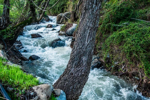 カコペトリアの山間部を流れるカルコティス川は夏には決して干上がりませんが 春には荒れ狂う川に変わります — ストック写真