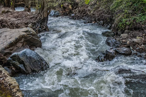 Der Fluss Karkotis Der Durch Das Bergdorf Kakopetria Fließt Trocknet — Stockfoto