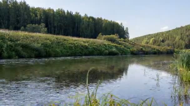 自然 - 流れる川のタイムラプス — ストック動画