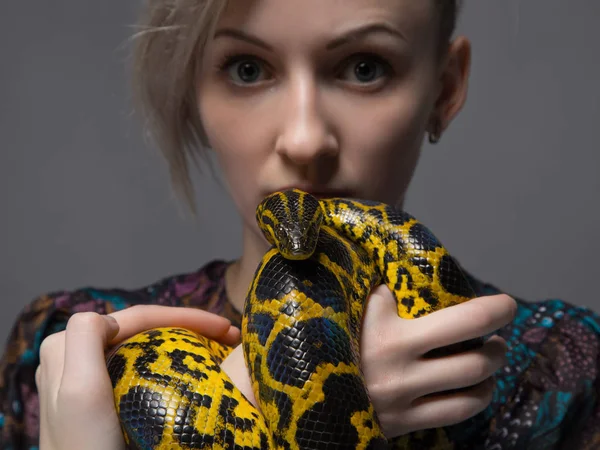 Blond woman holding yellow anaconda — Stock Photo, Image