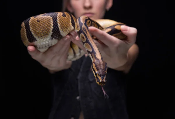 Jovem mulher mostrando cobra — Fotografia de Stock