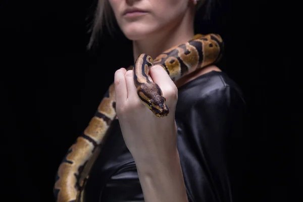 Žena v kožených šatech drží míč python — Stock fotografie