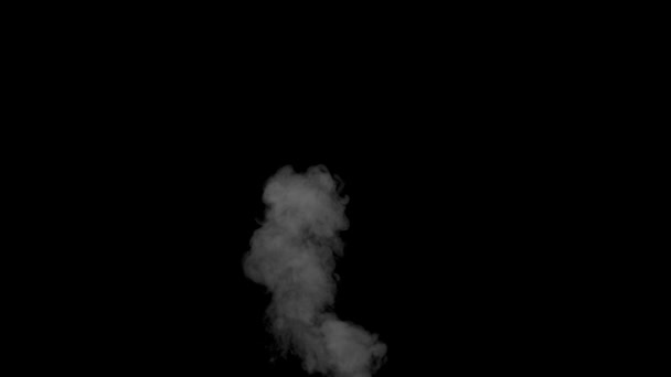 Rauchwolke der E-Zigarette — Stockvideo