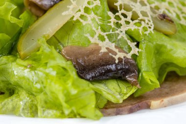 Turşusu, mantar ve peynir kılavuz dekorasyon