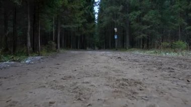 Orman yolu videosu