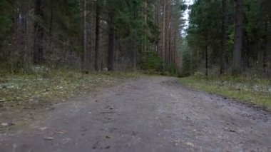 Ormandaki kirli Trail çekim