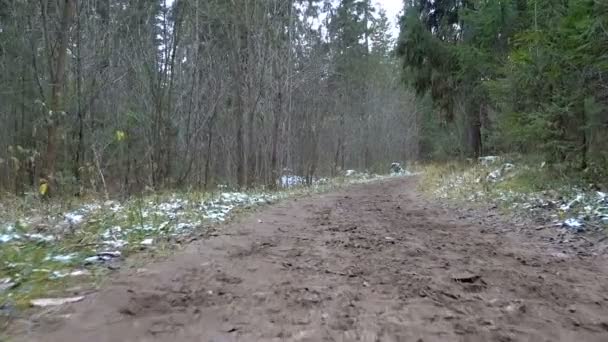 在森林里拍摄冰冻的泥土 — 图库视频影像